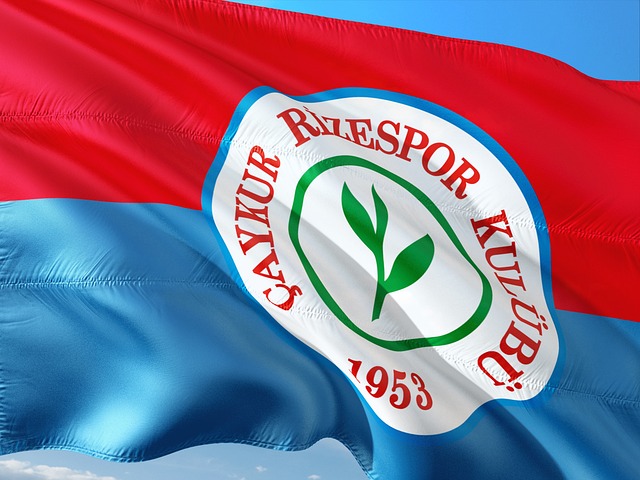 篮球篮网球迷线下活动吸引大量参与