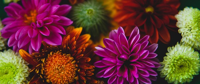 长春亚泰降级后换帅，新任主帅阎峰资历不足，俱乐部因成本考量选择本土球员，试图重建中超之路。