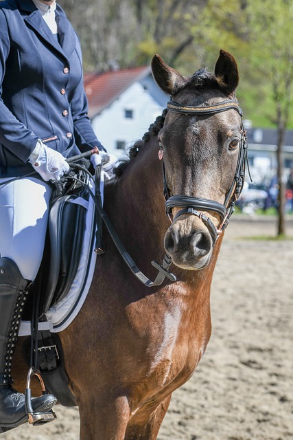 欧冠战报：瑟洛特传射，小蜘蛛破门，马竞3-2险胜埃因霍温