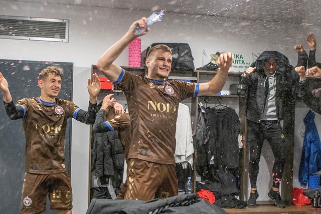 皮奥利的高 皮奥利的高