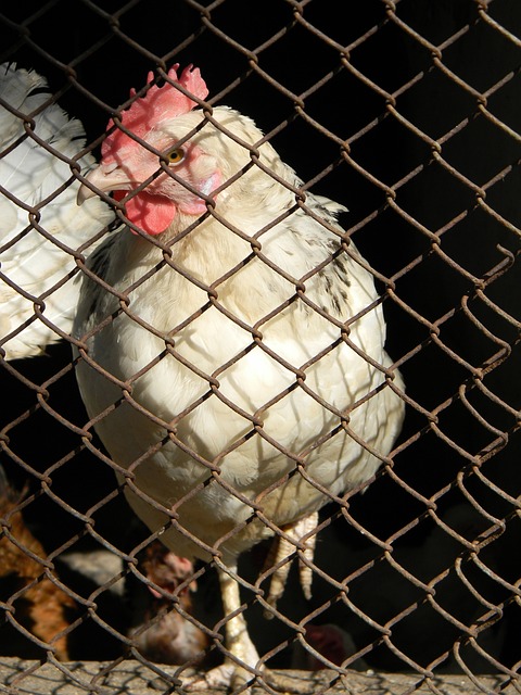 信心和动力 信心和动力