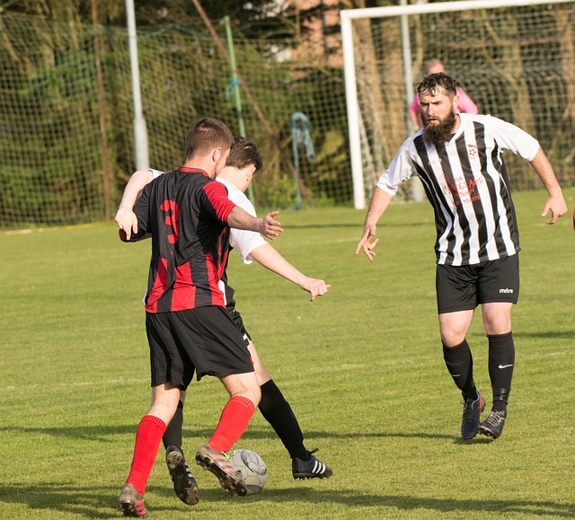 兰暂居小组 兰暂居小组