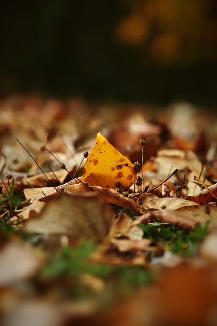 因素之一 因素之一